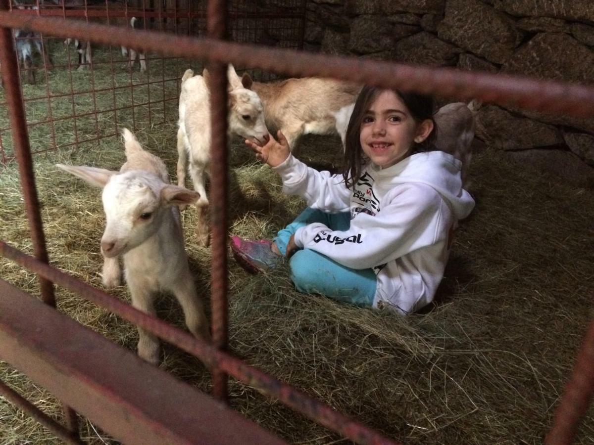 A Queijaria Otel Barreira  Dış mekan fotoğraf