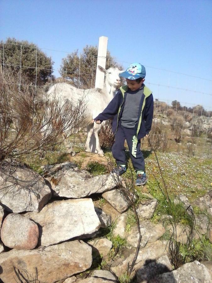 A Queijaria Otel Barreira  Dış mekan fotoğraf